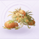 摆饰丰醇之乡01.png