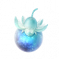 道具星光果.png