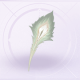 部件拂风的翎羽01.png