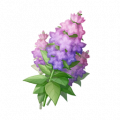 道具黛紫铃铃草.png