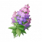 道具黛紫铃铃草.png