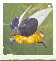 生物风铃子.png