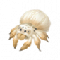 道具织衣蛛.png