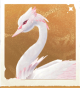 生物玫冠天鹅.png
