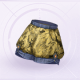 部件炽光焰络01.png