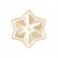 道具万象星实.png
