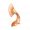 道具云尾锦鲤.png
