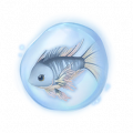 道具星绸鱼精粹.png