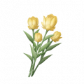 道具明黄杯杯香.png
