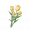道具明黄杯杯香.png