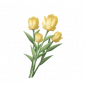 道具明黄杯杯香.png