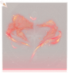 咏月·脚部红.png