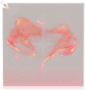 咏月·脚部红.png
