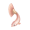 道具大笔刷鱼.png