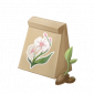 道具晴雨蝶兰种子.png
