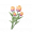 道具瑰霞双色杯杯香.png