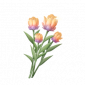 道具瑰霞双色杯杯香.png