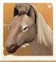 生物骑士大马.png