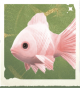 生物手绢鱼.png