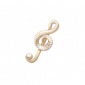 道具遗落的胸针.png