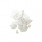 道具掉落的纸张.png