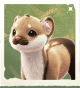 生物背带鼬.png