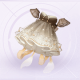 套装轻盈泡泡·山风01.png