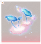 风荷·头部彩.png