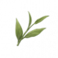 道具芽之韵.png
