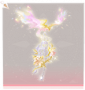 燎原·头部彩.png