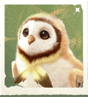 生物兜帽鸮.png