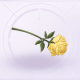 部件花境漫步·飘零01.png