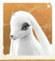 生物袜袜羊.png