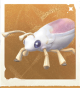 生物面膜草蛉.png