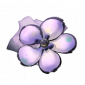 道具花盾布片.png