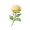 道具盛开的金蔷薇花.png