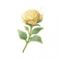 道具盛开的金蔷薇花.png