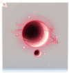 陨星·头部红.png