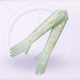 部件心意的交叠·幻翠01.png