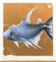 生物纱裙鱼.png