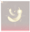 光之羽·脚部黄.png