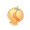 道具布布果.png