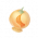 道具布布果.png