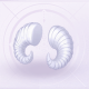 部件蜷蜷茸角01.png