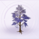 家具薄紫叮当果树.png