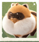 生物围兜狸猫.png
