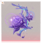 曦晖·脚部彩.png