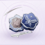 部件银白雪枝01.png