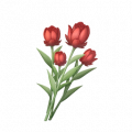 道具榴红杯杯香.png