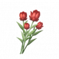 道具榴红杯杯香.png